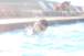 resIMGIMG_20100730_3894.JPG